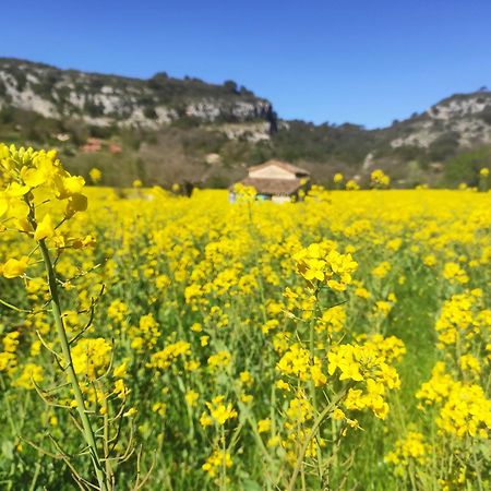 Les Quatre Chenes Appartement Bauduen Buitenkant foto